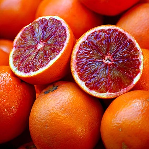 Blood Oranges